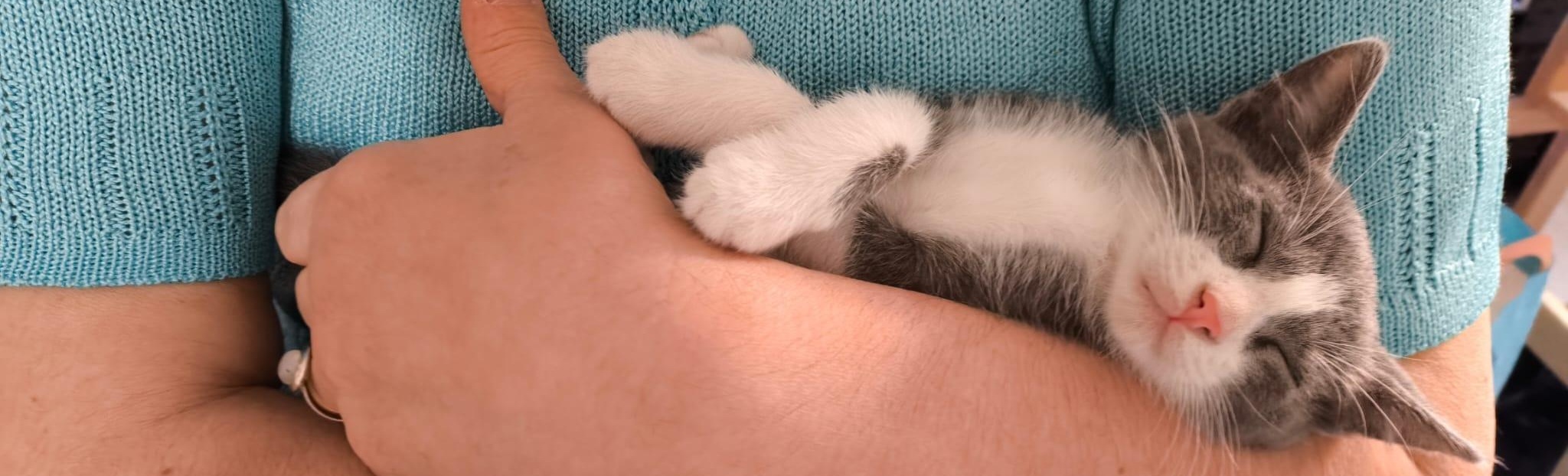 Briciola - La nostra gattina